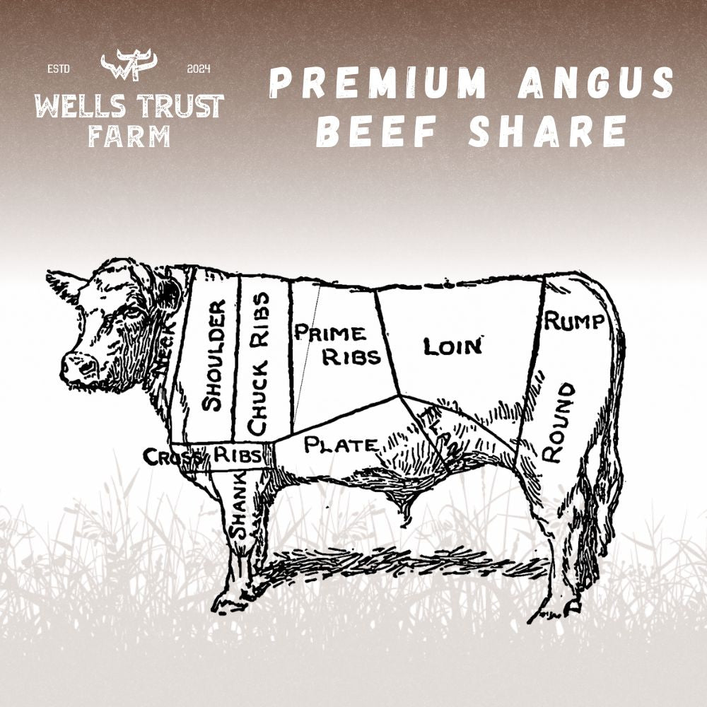 Premium Angus Beef Share (Deposit)